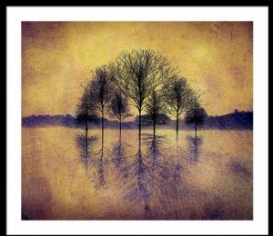 New Art Released - Reflecting Trees